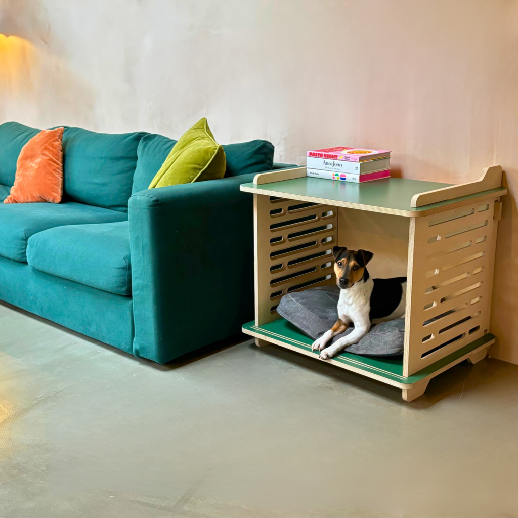 Tame blue dog crate in lounge setting with dog laying down